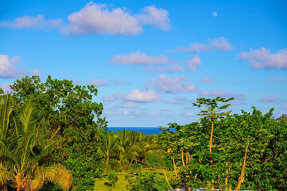 Kirpal Meditation And Ecological Center Hotel Pahoa Exterior foto