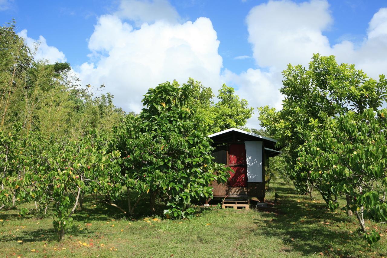 Kirpal Meditation And Ecological Center Hotel Pahoa Exterior foto