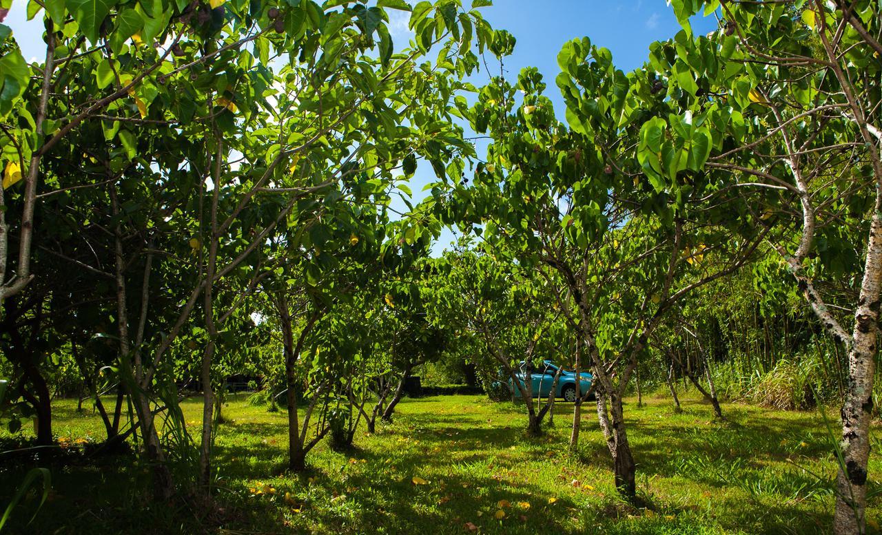 Kirpal Meditation And Ecological Center Hotel Pahoa Exterior foto