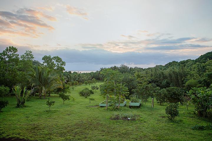 Kirpal Meditation And Ecological Center Hotel Pahoa Exterior foto