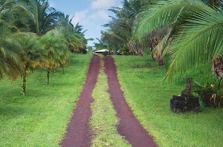 Kirpal Meditation And Ecological Center Hotel Pahoa Exterior foto