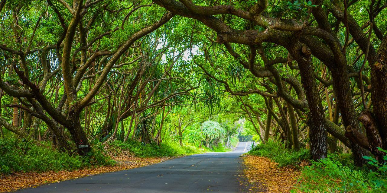 Kirpal Meditation And Ecological Center Hotel Pahoa Exterior foto