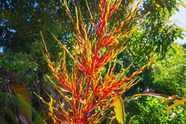 Kirpal Meditation And Ecological Center Hotel Pahoa Exterior foto