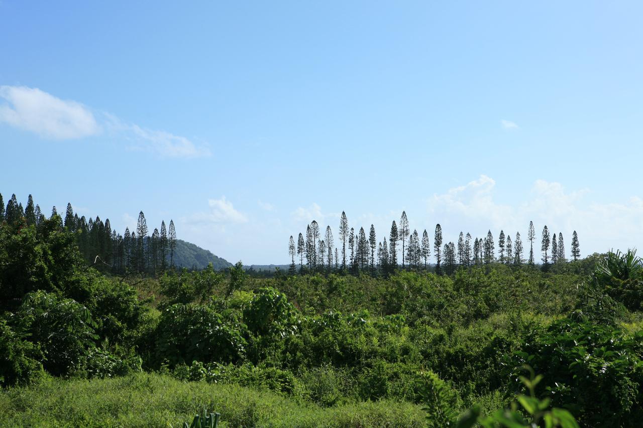 Kirpal Meditation And Ecological Center Hotel Pahoa Exterior foto